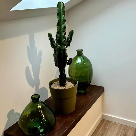 Apartment Magnolia House